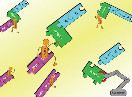 ChemComm inside front cover for Tan et al., Chem Commun. 2021